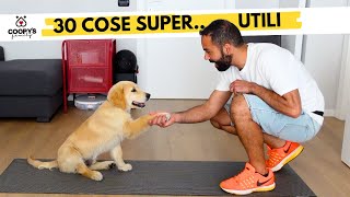 🐶 Come Insegnare al Cucciolo a Fare i Bisogni Fuori Casa 5 Consigli  Giuliano Addestratore [upl. by Ynetsed]