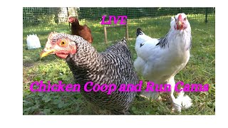 Chicken Coop Cam Live [upl. by Nerta]