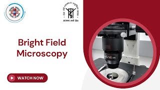 Bright Field Microscopy [upl. by Ahtanamas58]