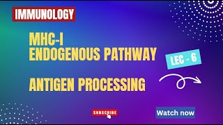 MHCI processing Endogenous pathway of antigen processing  Lecture  6 Immunology csirnet [upl. by Antoinetta]