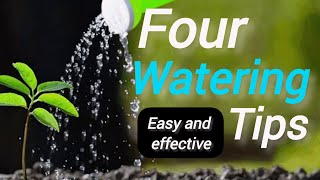 how to water your plants  four watering tips FreeGardener [upl. by Enoval]