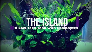 THE ISLAND │ Aquascaping using Epiphyte Plants │AQUA BOY │Descriptive Video 07 [upl. by Morly]