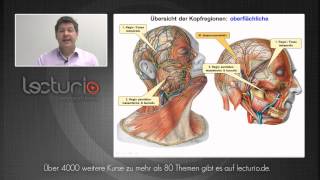 Anatomie online Kopf und Halsregionen  Dr med SteffenBoris Wirth bei Lecturio [upl. by Tuddor]