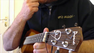 How To Adjust Ukulele Setup and Intonation  Got A Ukulele Beginners Tips [upl. by Aubyn592]