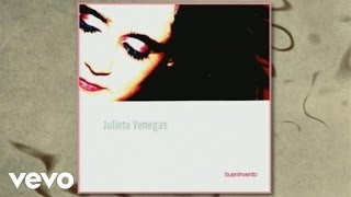 Julieta Venegas  Siempre en Mi Mente Cover Audio [upl. by Inaliel]