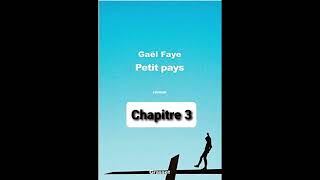 3  Petit Pays  Gael Faye  aide à la lecture  Chapitre 3 [upl. by Kip]