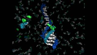 Livets oprindelse  RNA kopierer sig selv [upl. by Acenes]