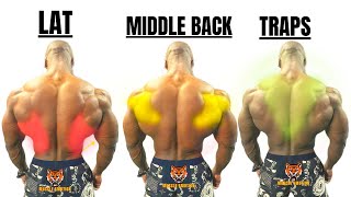 15 BEST BACK EXERCISES TO GET BIGGER BACK FAST  MUSCULATION DOS RÉSULTAT RAPIDE [upl. by Atiras]