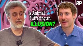 Michael Graziano Consciousness Animal Minds and the Neuroscience of Suffering [upl. by Anide214]