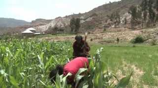 Thirsty Land – How Ethiopian Farmers Harvest Water [upl. by Hertberg]