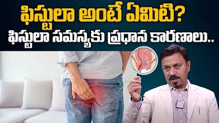 ఫిస్టులా సమస్యకు ప్రధాన కారణాలు  Fistula Causes amp Symptoms  Fistula Treatment  iDream Health [upl. by Assiral322]