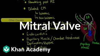 Mitral valve regurgitation and mitral valve prolapse  NCLEXRN  Khan Academy [upl. by Gower318]