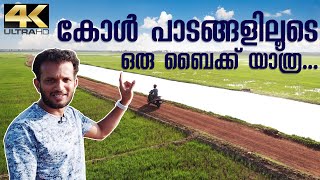 A Visit To Thrissur Kole Wetland Kerala  അടാട്ടിലെ കോൾ പാടങ്ങളിലൂടെ ഒരു യാത്ര [upl. by Yeo]