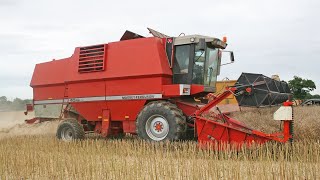 1990s Massey Ferguson 40RS combine  Dronningborg  Modern Classics  Combine Harvesters DVD [upl. by Notserk]