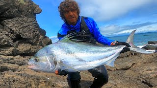 Roosterfish From The Rocks Last Cast Part 5  Roosters And Jacks On Lures [upl. by Aluin]