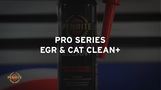 Penrite Pro Series EGR amp CAT Clean [upl. by Devol]