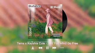 Tems x Keyshia Cole Let Your Mind Go Free  BluSatire Mashup [upl. by Elyr113]