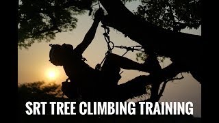 SRT Tree Climbing Training  Bulldog Bone  Bola Lanyard  GoPro  Arborist [upl. by Julieta152]