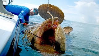 Caught a Monster Grouper that Weighed MORE than the BOAT [upl. by Aniehs55]