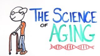 The Science of Aging [upl. by Enajiram]