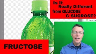 Are you Feeling Lucky Fructose vs Glucose amp Sucrose [upl. by Thebazile834]