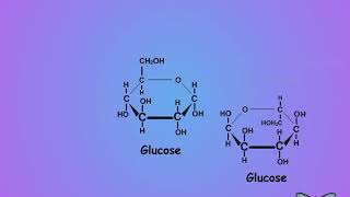 01 What is trehalose and why care [upl. by Wenoa]