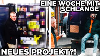 ERSTES PROJEKTHallenalltag mit EickoampPhilShooting mit bobergderechte SchlangeVLog VOL2💥 [upl. by Ori]