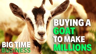 Adopting A Goat Made Her MILLIONS  Big Time Business [upl. by Fesuoy54]