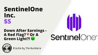 Quick Overview Of SentinelOne Stock S  This Cybersecurity Company Might Go To The Sky Over Time🚀 [upl. by Ajdan405]