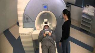 Introduction to fMRI [upl. by Chesna]