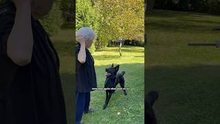 Italian Grandma Speaks German Shepherd [upl. by Asen]