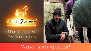 Hoof Care Essentials What Is An Abscess [upl. by Ellehciram977]