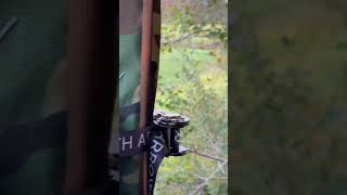 MN opener hunting whitetails archery bowhunting adventure outdoors deerhunting deer short [upl. by Octavla]