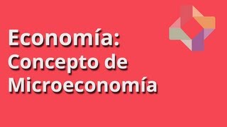 Concepto de Microeconomía [upl. by Mont]