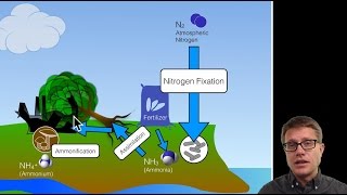 Biogeochemical Cycles [upl. by Cas994]