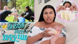 Lactancia Materna  Las Primeras Vacunas de Mia Y Se metio un zorrillo a la casa🤮 Carol Vlogs [upl. by Ruthie]