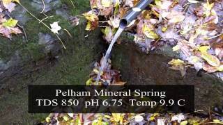 Pelham Mineral Spring  St Catharines  Welland Ontario Natural Spring Water [upl. by Melina624]