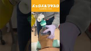 デュアルバルブマスクの取り外し方😷 [upl. by Ecirehc359]