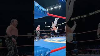 CMLL Shorts Místico [upl. by Harmony]