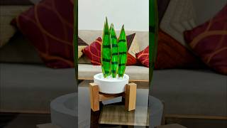 DIY wooden plant stand plants decoration interiordesign latest youtubeshorts shorts [upl. by Koy]