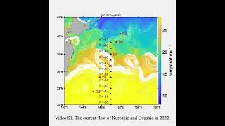 Video S1 The current flow of Kuroshio and Oyashio in 2021 [upl. by Ck862]