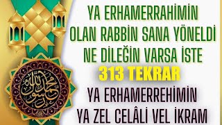 Ya Erhamerrahimin Ya Zel Celali Vel İkram 313 Tekrar [upl. by Shig]