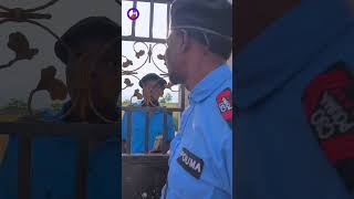 officers food  funkie pouma ft  prophetic movement comedy tv  officer woos  Brainjotter [upl. by Daht127]