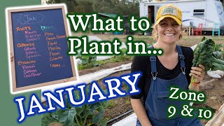 January Planting Guide for Zone 9  10 Gardeners amp Winter Growing Tips [upl. by Dami691]