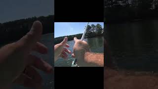 A flutter spoon is a great technique for summer but even better on ledges and points fishingtips [upl. by Rodablas677]