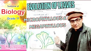 Evolution of Microphyllous amp Megaphyllous Leaves  biology  Grade 11 Urdu Hindi English  federal [upl. by Hayyim]