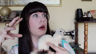 Ask a Mortician Human Taxidermy [upl. by Zobe]