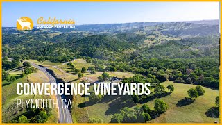 Convergence Vineyards  Plymouth California [upl. by Sherer480]