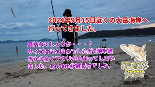 【投げ釣り・キス釣り】2024年9月15日近くの大岳海岸にキス釣りに行ってきました。 [upl. by Coke43]