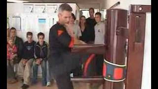 UCT™ Yong Chun Training Impressions Sifu Benno Westra amp Pele [upl. by Rheinlander]